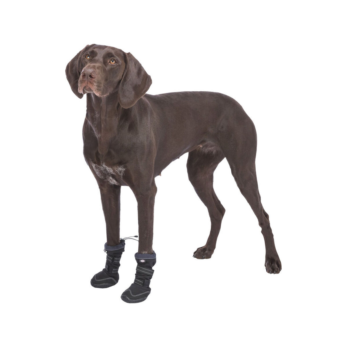 Leg protection walker Trixie Black L/XL